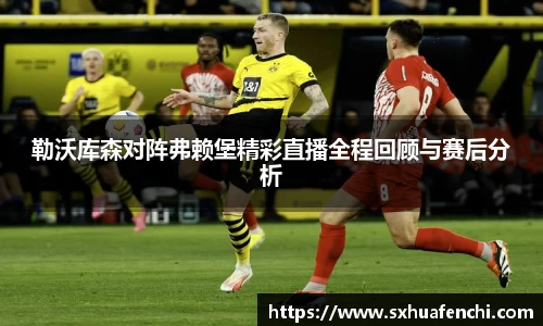 熊猫体育
